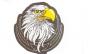 Etichetta in stoffa ricamata Eagle head patch 4X4