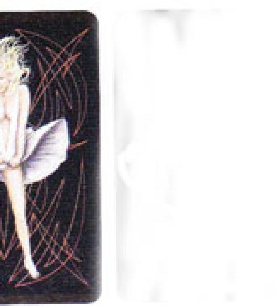 Mini Decalco Pinstripe Marilyn