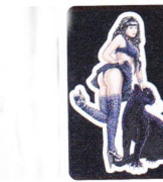 Mini Decalco Dangerous Pussy