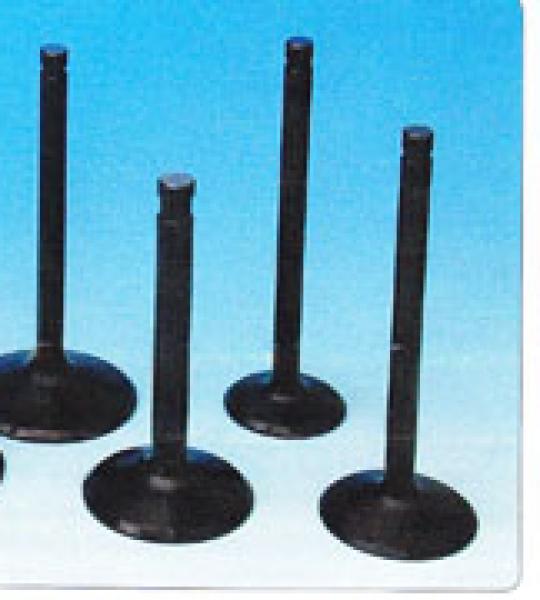 Valvola aspirazione testa maggiorata per Harley Twin Cam 88 1999-2004