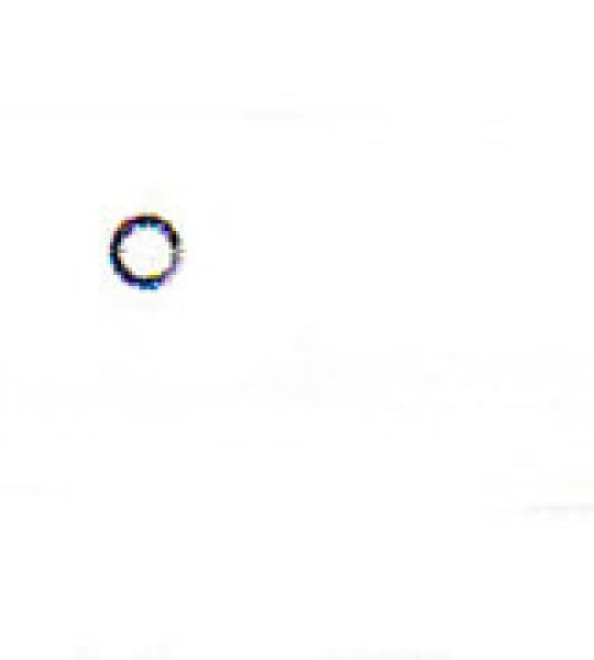 O-ring valvola di controllo serbatoio benzina James per Harley Twin Cam dal 1999 ad oggi
