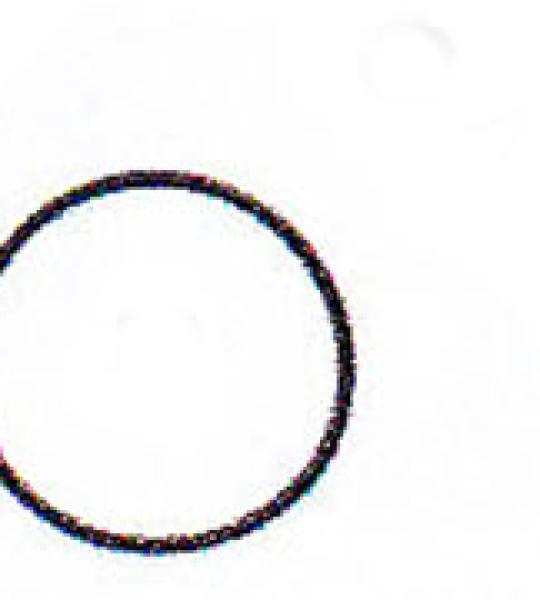 O-ring alloggiamento pompa olio Athena per Harley Twin Cam dal 1999 ad oggi