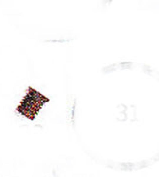 O-ring sensore pressione aria James per Harley Twin Cam dal 1999 ad oggi