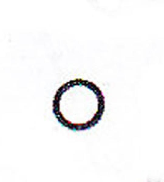 O-ring filtro aria James per Harley Twin Cam dal 1999 ad oggi