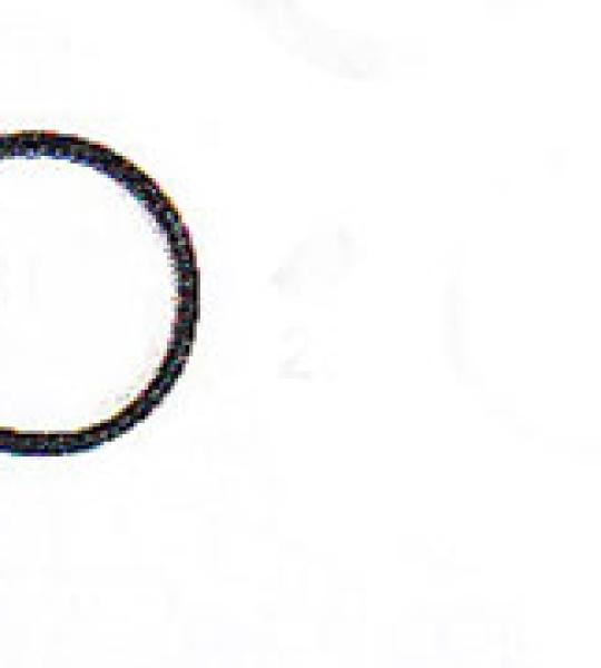 O-ring collettore aspirazione James per Harley Twin Cam dal 1999 ad oggi