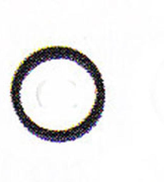 Paraolio motorino d'avviamentoin Viton James per Harley Sportster Evolution dal 2000 ad oggi
