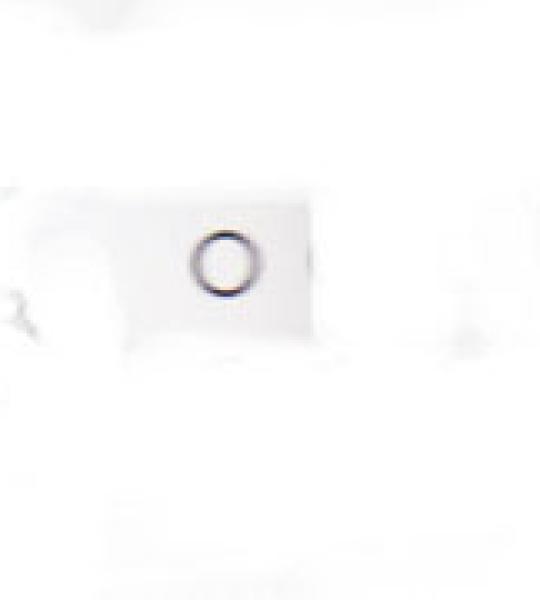 O-ring copertura asta media in viton James per Harley Big Twin Evolution 1984-1999