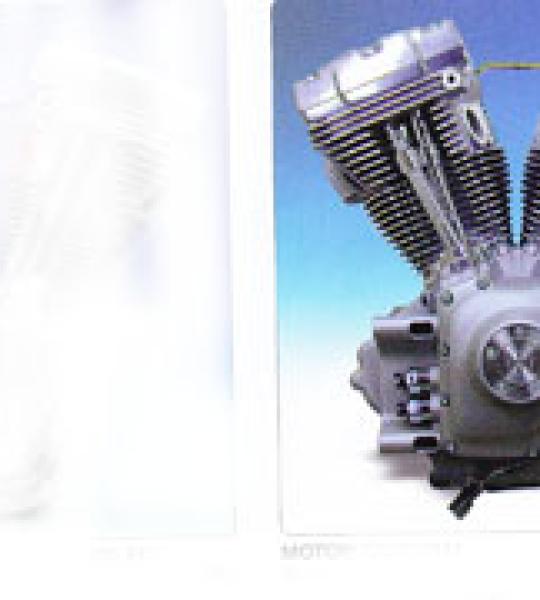 Motore Twin Cam B 96CI finitura nero/cromato completamente montati per telai tipo Dyna Glide