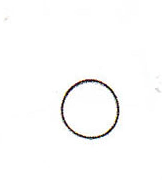 O-ring ingranaggio frizione Athena per Harley XL, XLH, XLCH 1957-1966