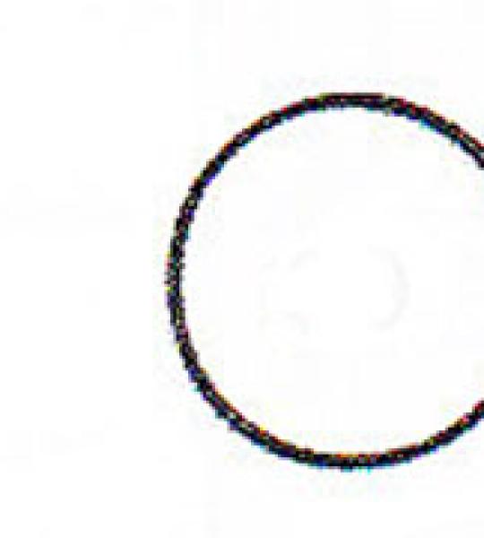 O-ring adattatore carburatore per Harley Shovelhead 1967-1970