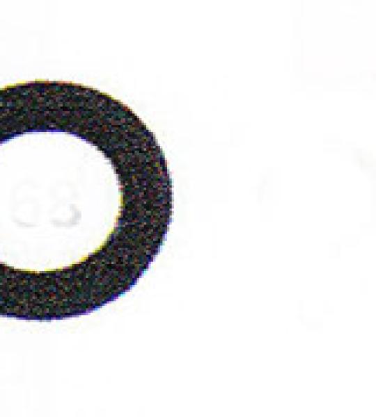 Paraolio ingranaggio guida principale Athena per Moto Guzzi Sportster Evolution e Buell 1991-1995
