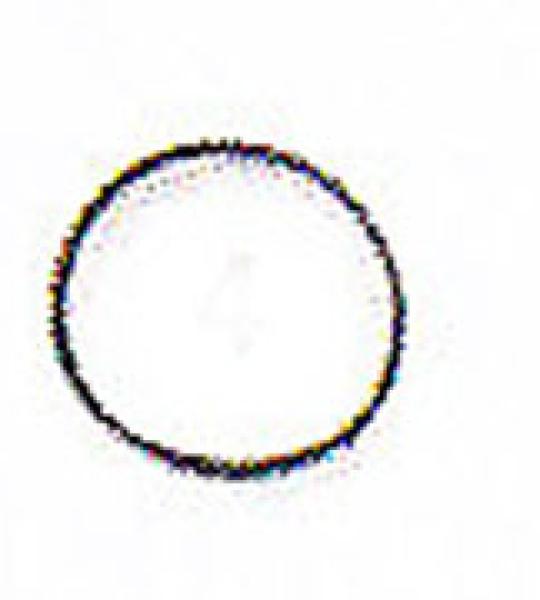 Paraolio copertura valvole Athena per Harley 45CI Solo & Service Car 1940-1973, Flathead 74CI e 80CI, UL e ULH 1937-1948