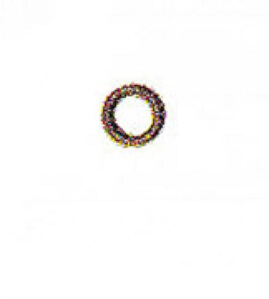Paraolio corpo pompa olio fine Athena per Harley Sportster 1958-1976, Big Twin Evolution dal 1984-1999
