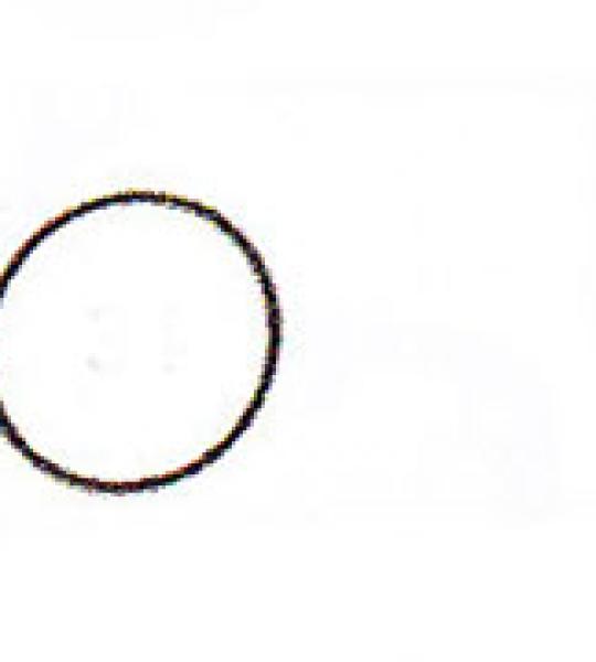 O-ring adattatore carburatore Athena per Harley Sportster Ironhead 1966-1971