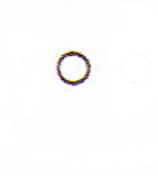 O-ring copertura asta superiore Athena per Harley Sportster Evolution e Buell dal 1991 ad oggi