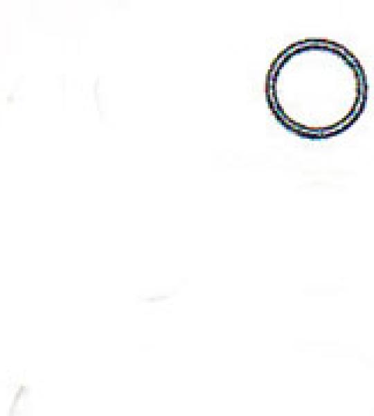 O-ring copertura asta superiore James per Harley Shovelhead 1981-1984