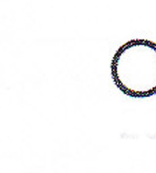 O-ring interruttore folle James per Harley Big Twin 5 marce fine 1999-2006