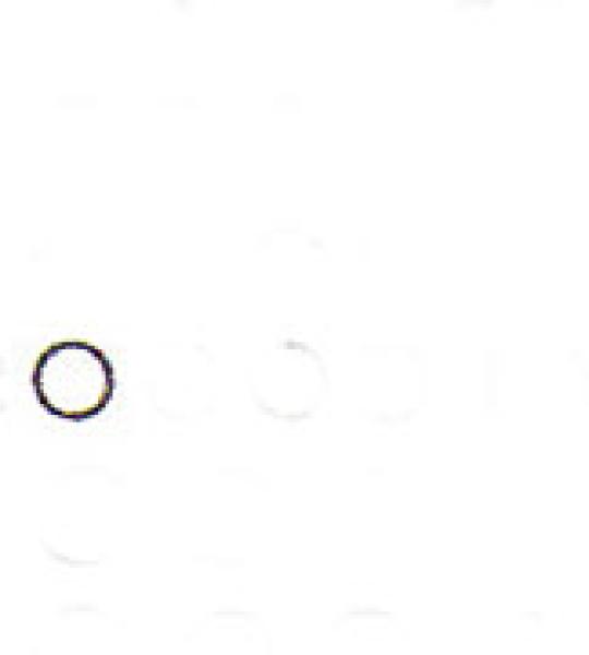 O-ring copertura asta bassa in viton James per Harley Sportster Evolution e Buell 1986-1990, Big Twin Evolution 1984-1999