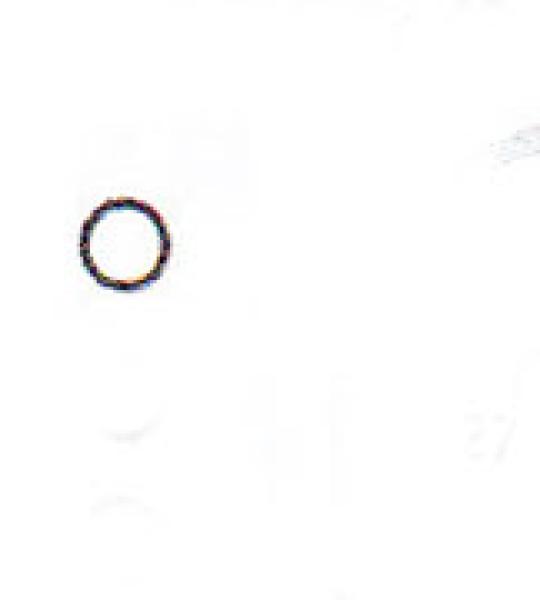 O-ring corpo pompa olio James per Harley Twin Cam dal 1999 ad oggi