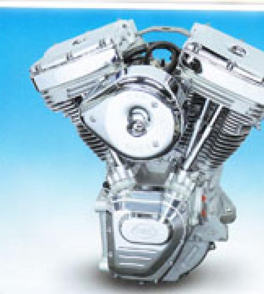 Motore S&S 124CI stile Twin Cam approvato EU lucidato con carburatore Super G e accensione IST per telai stile Evolution