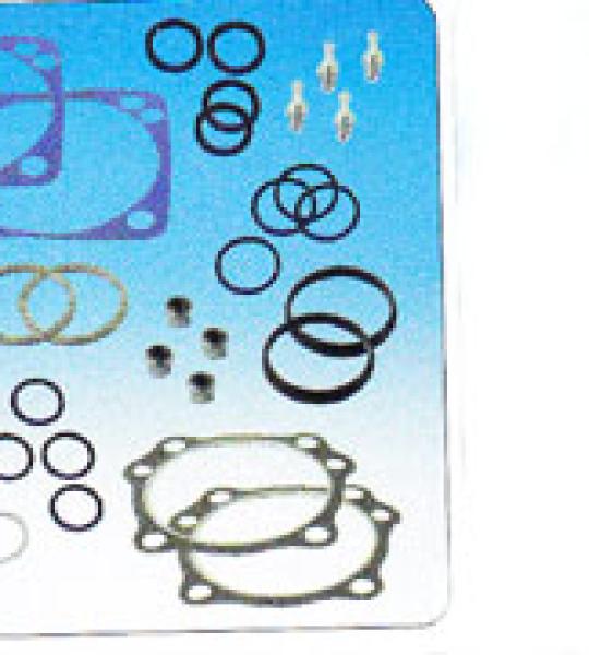 Kit completo guarnizioni motore per motori S&S serie X-Wedge da 4 1/4
