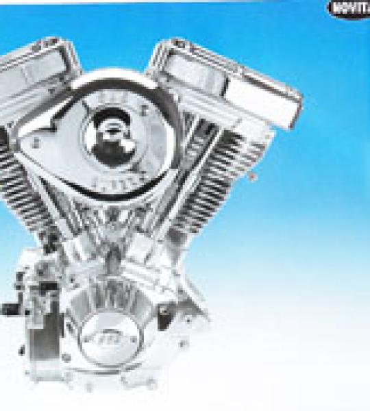 Motore S&S V113 Euro-3 a carburatore finitura lucidata